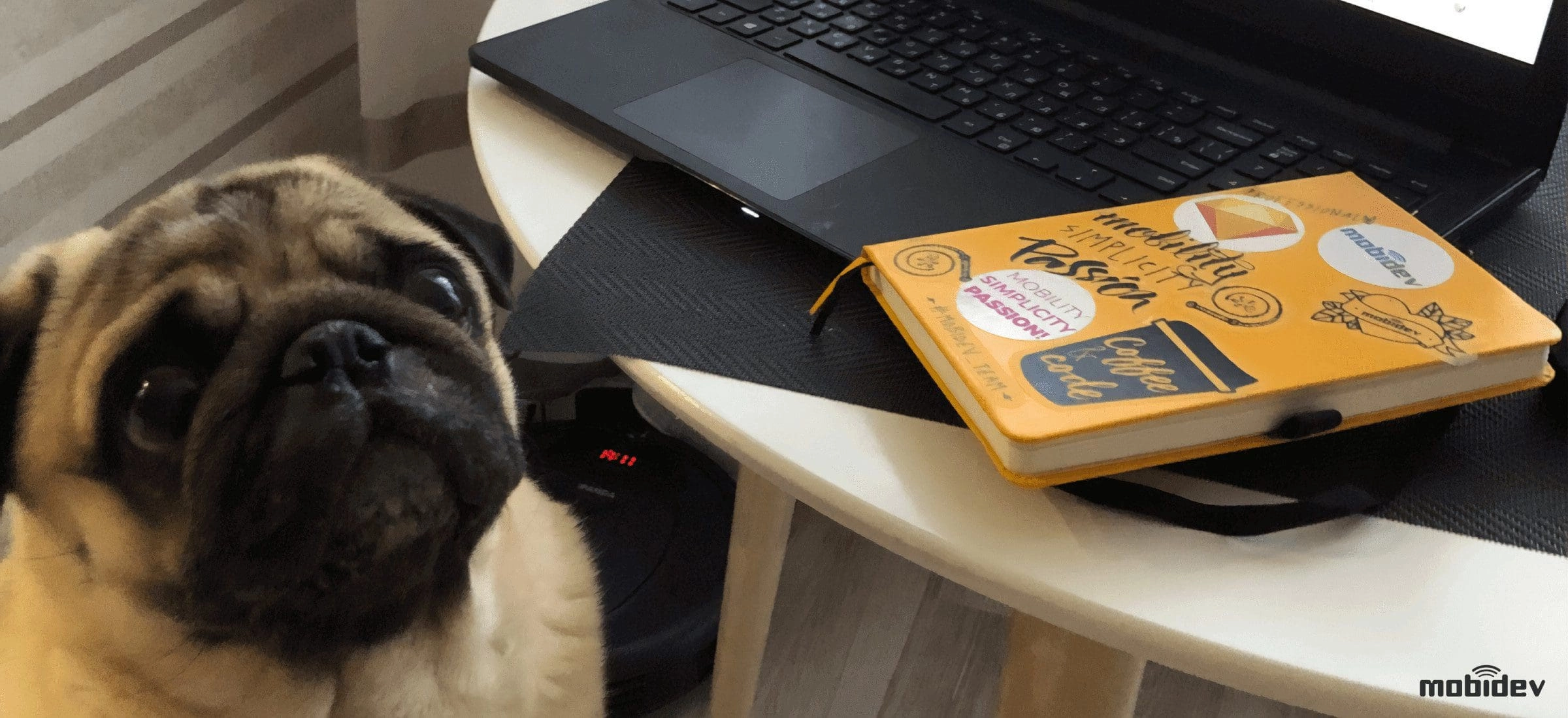 software development company work from home switch