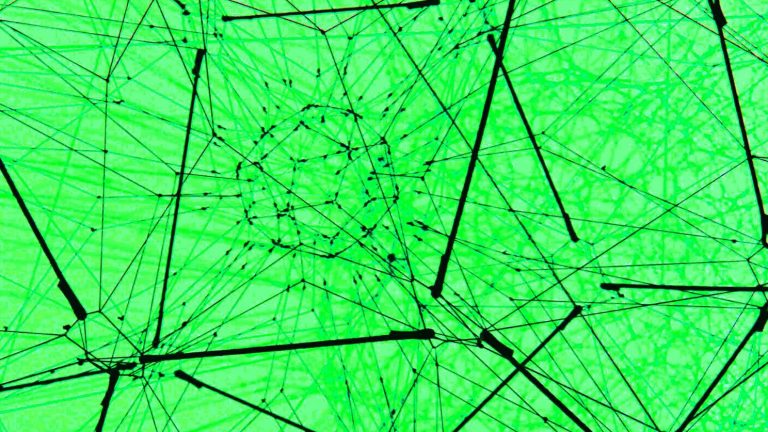 Machine Learning Trends to Impact Business in 2021-2022