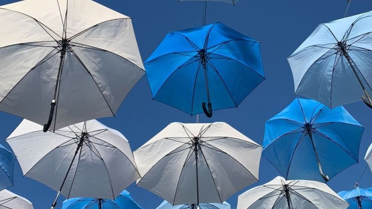 Software Intellectual Property Rights Protection Strategy