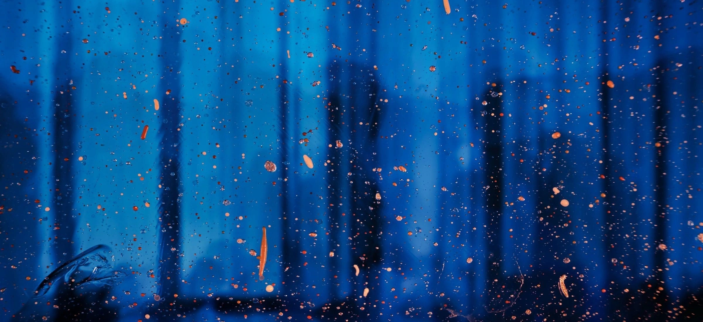 Phython App Development Guide