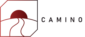 Camino Client's testimonial for cross platform mobile app development services by MobiDev