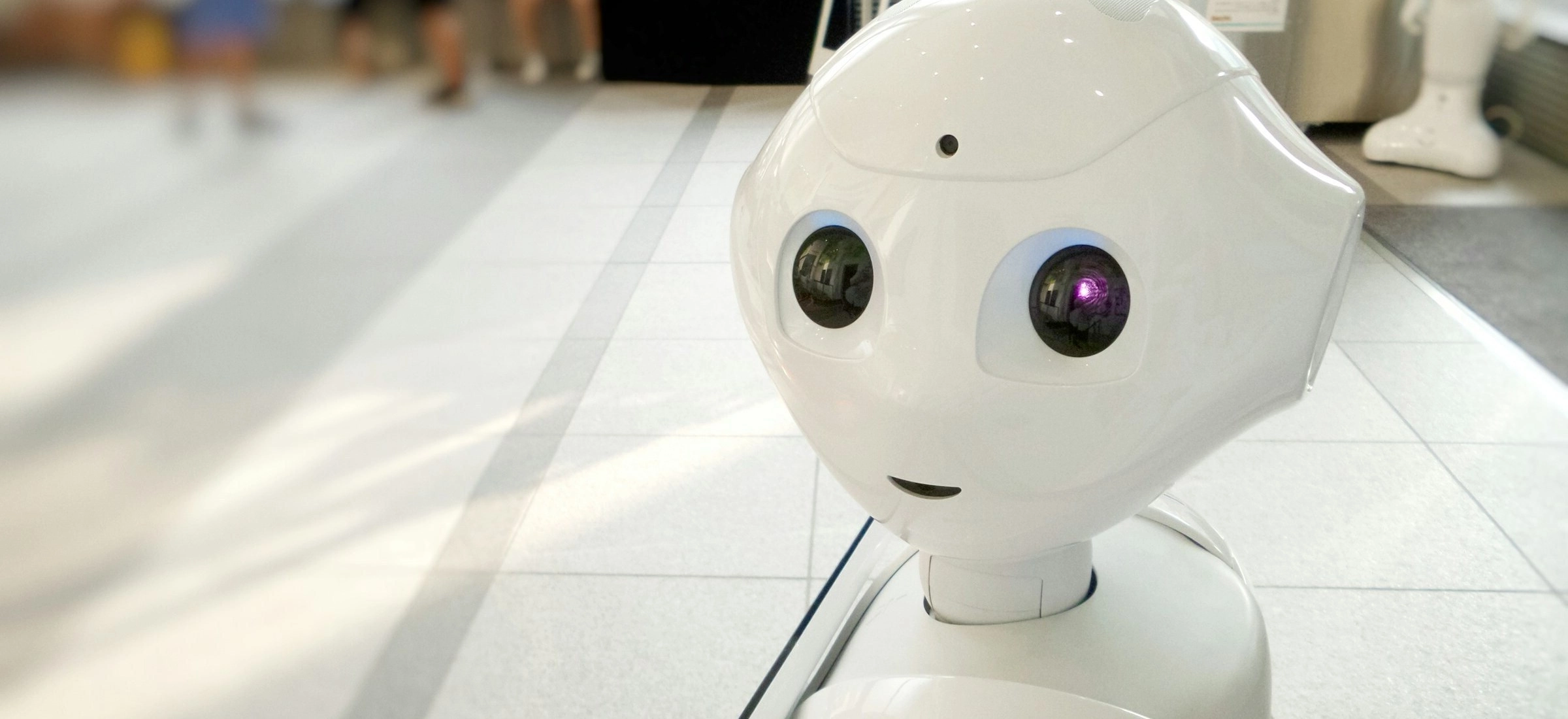 chatbot development guide how to build a chatbot that brings real value for your business