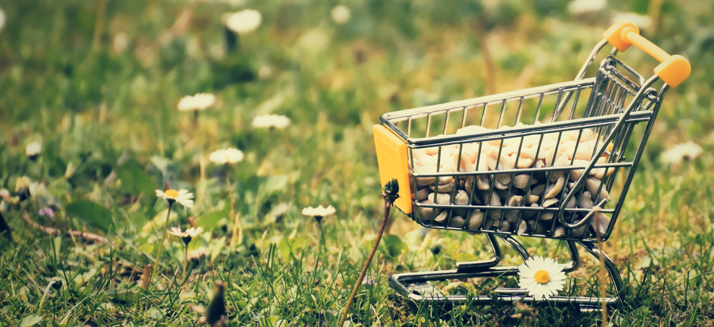 The Practical Guide to Using Gen AI in Retail SaaS Products