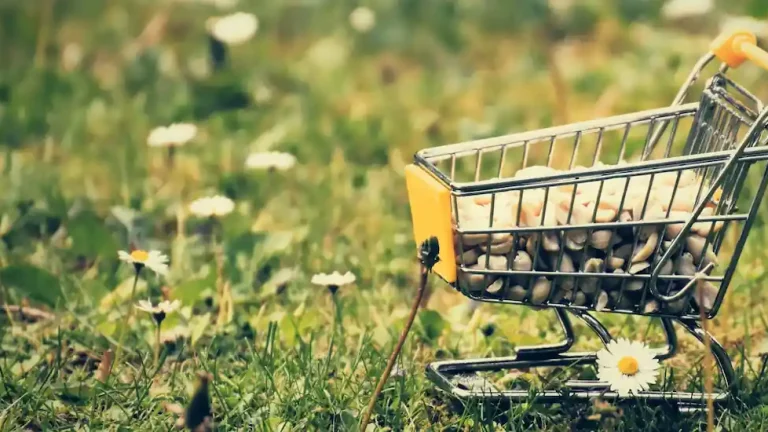 The Practical Guide to Using Gen AI in Retail SaaS Products