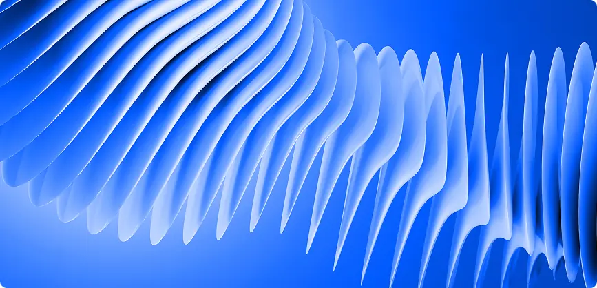 development of software for retail companies