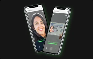 AI Consulting Clients: Verification as a Service Product