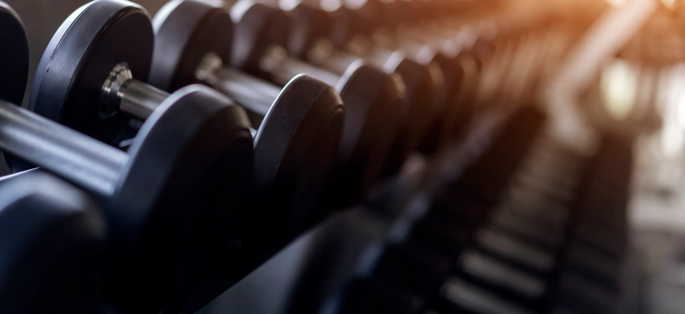 TOP 10 Gym App Development Companies Ranked