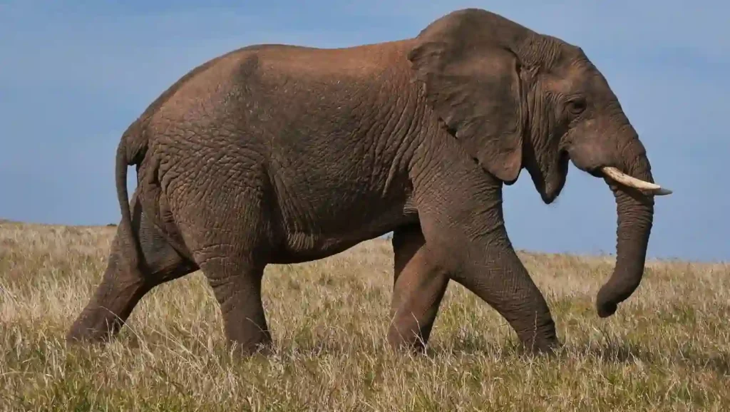 PHP 8 Migration Guide: How to Upgrade Legacy PHP Safely
